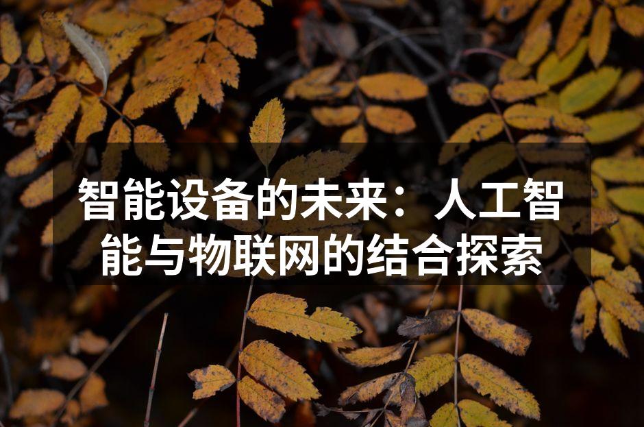 智能设备的未来：人工智能与物联网的结合探索